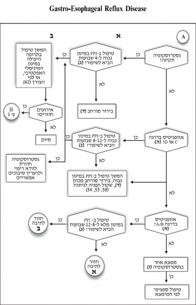 קובץ:החזר ושטי 4.PNG