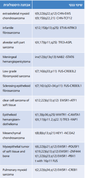 קובץ:היסטולוגית 3.png