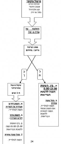 קובץ:כלבת 1.png