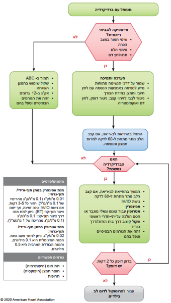 קובץ:AHA5.png