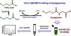 Acylglycine1.jpg