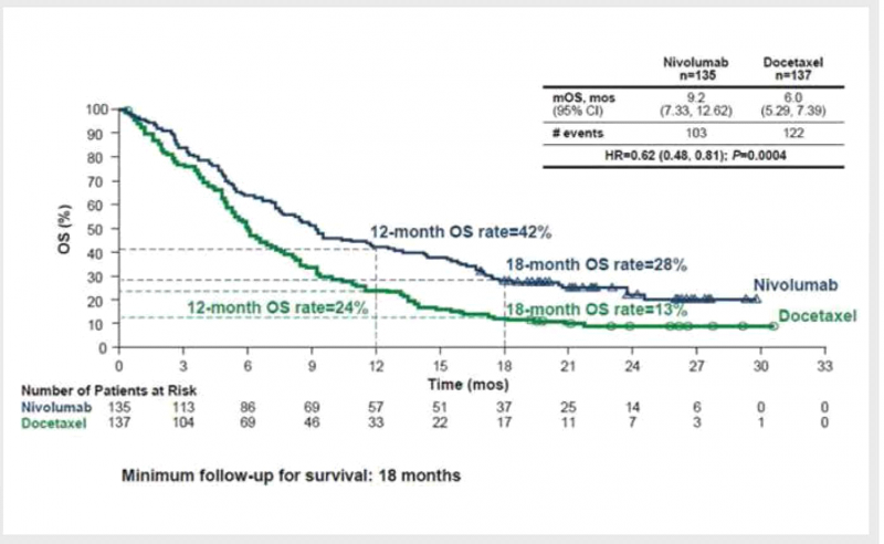 קובץ:NSCLC4.png