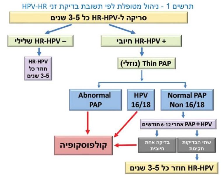 קובץ:HPV-HR.jpg