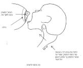 הנקה1.jpg