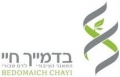 תמונה ממוזערת לגרסה מ־06:23, 1 ביוני 2011