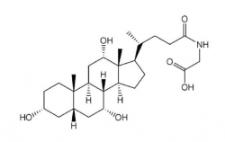 Cholylglycine 1.png