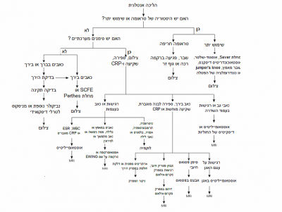 תרשים מדהים של קרן.PNG