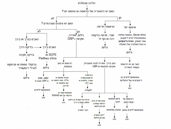 תרשים מדהים של קרן.PNG