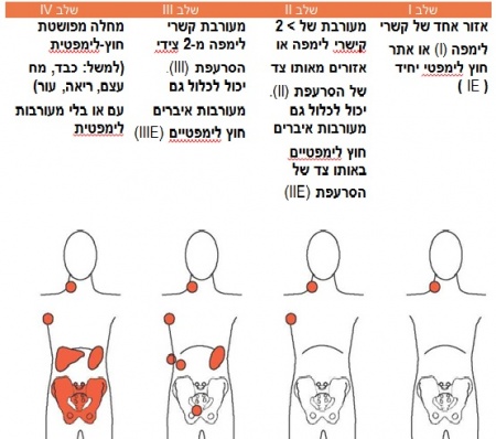 טבלה מס' 1: שלבי המחלה לפי שיטת Ann Arbor‏(3)