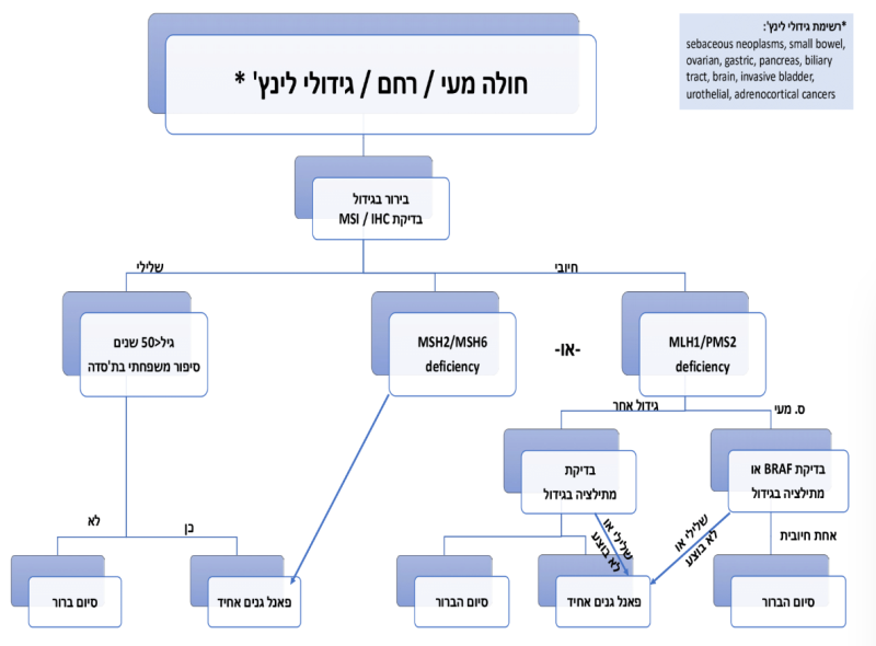 קובץ:חולה מעי-רחם-גידולי לינץ׳.png