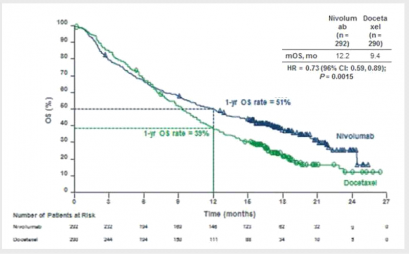 קובץ:NSCLC3.png
