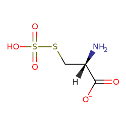 S-sulfocysteine1.png