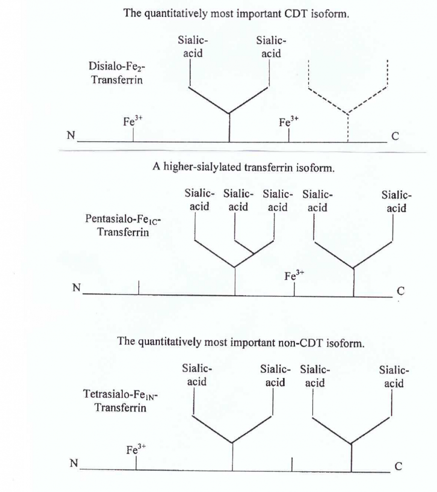 טרנספרין נטול פחמימות Carbohydratedeficient transferrin ויקירפואה