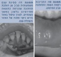 תמונה ממוזערת לגרסה מ־21:32, 21 ביולי 2012