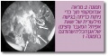 תמונה ממוזערת לגרסה מ־12:34, 19 במאי 2012