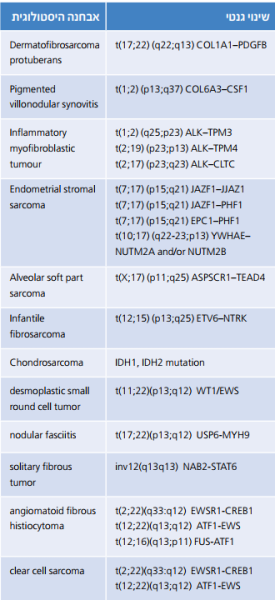קובץ:היסטולוגית 2.png