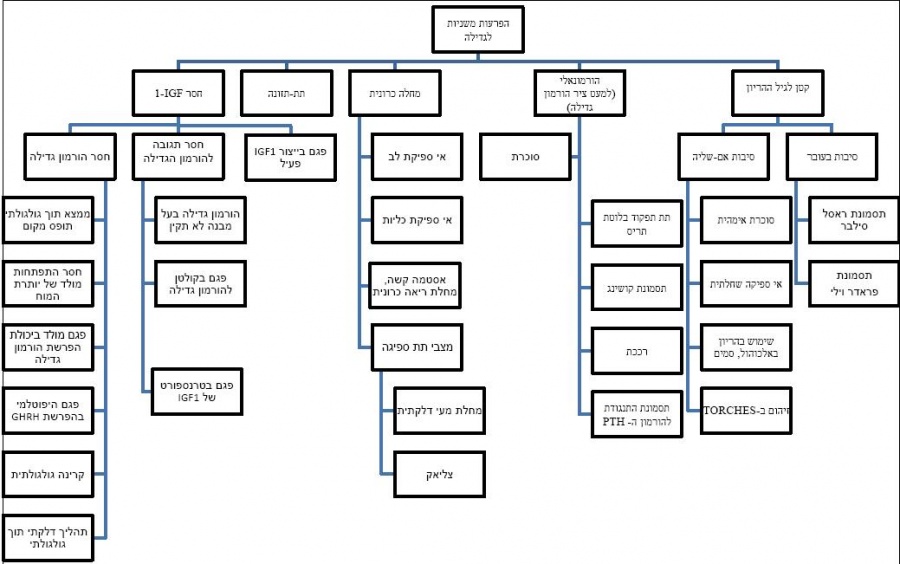 קומה נמוכה4.JPG