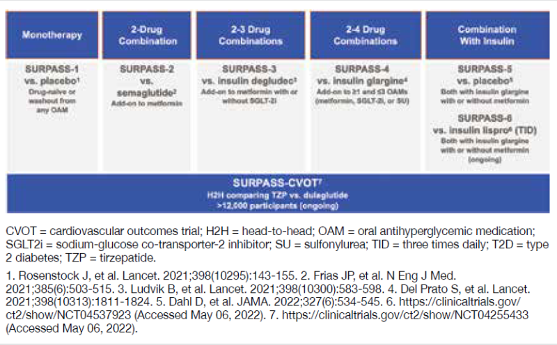 קובץ:SURPASS 1.png