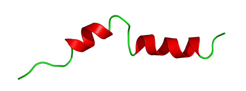 קובץ:Liraglutide cartoon 4APD.png