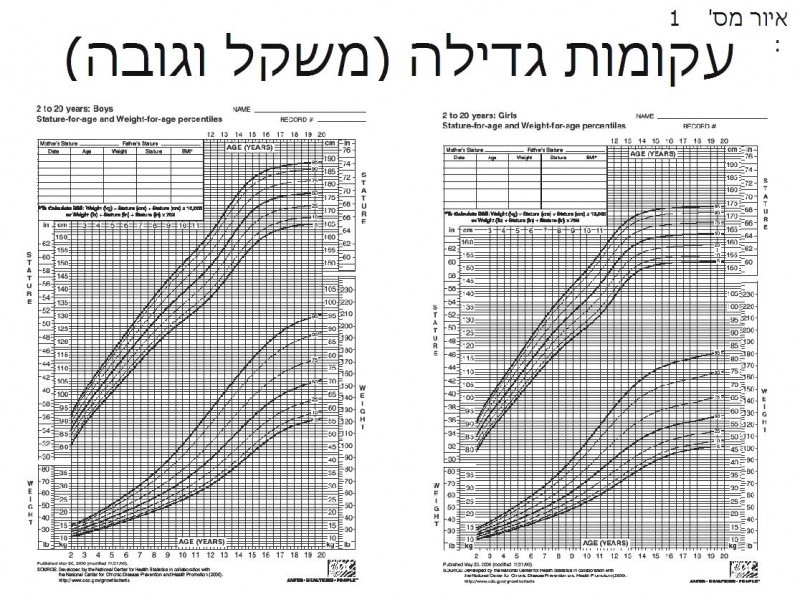 קובץ:קומהנמוכה1.JPG