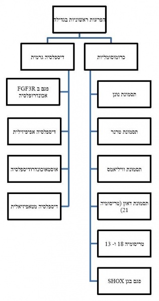 קובץ:קומה נמוכה3.JPG