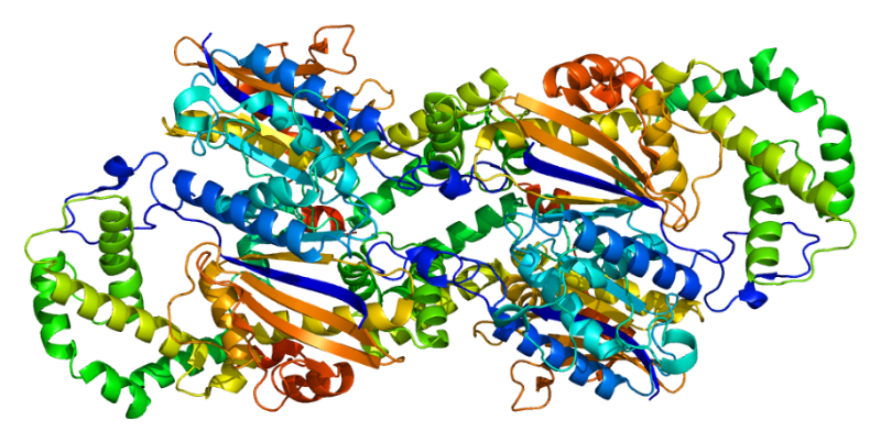 קובץ:Protein ACPP PDB 1cvi.png