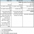 תמונה ממוזערת לגרסה מ־08:04, 17 בפברואר 2011