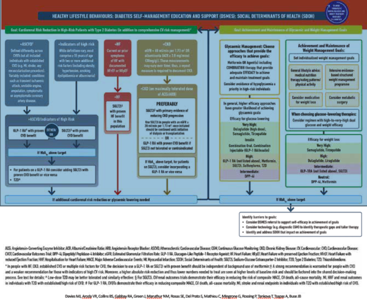 קובץ:SURPASS 5.png