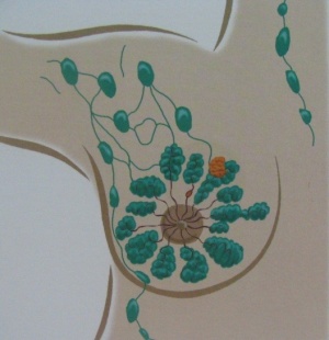 Breast512a.jpg