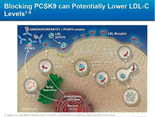 PCSK93.png