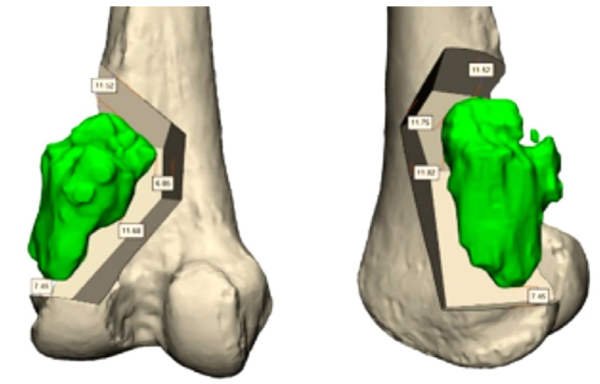 תבנית חיתוך1.png
