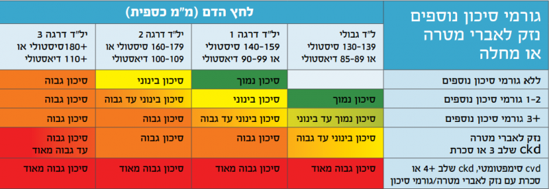 קובץ:נזק לאברי מטרה.PNG