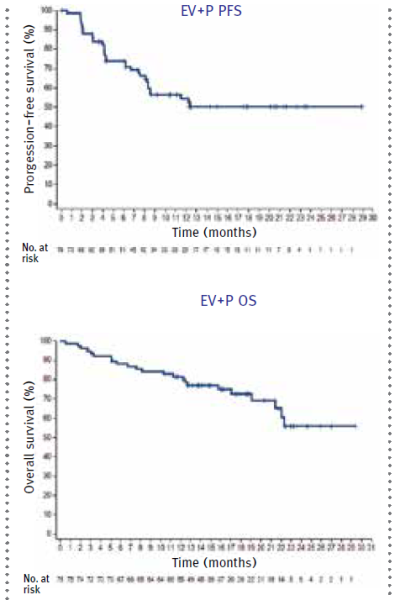 קובץ:EV P PFS1.png